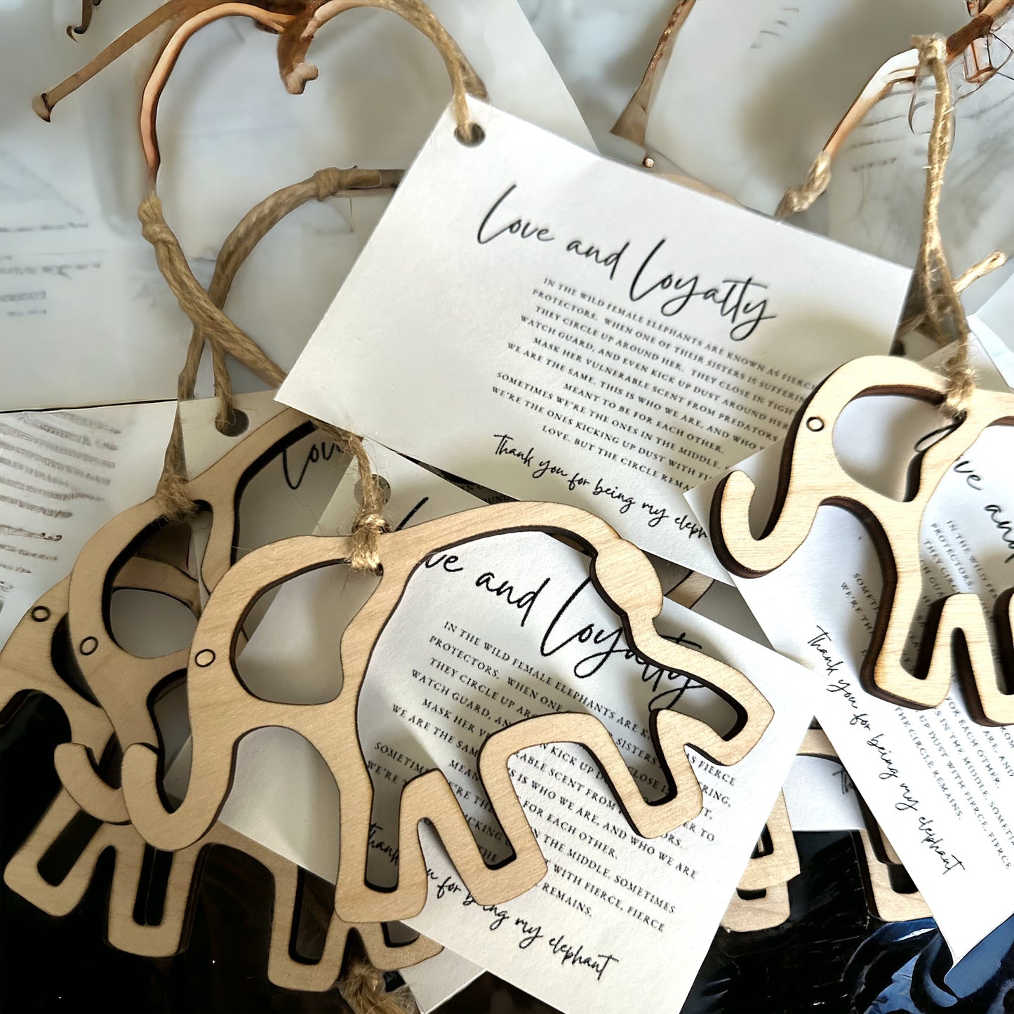 Friendship Elephant